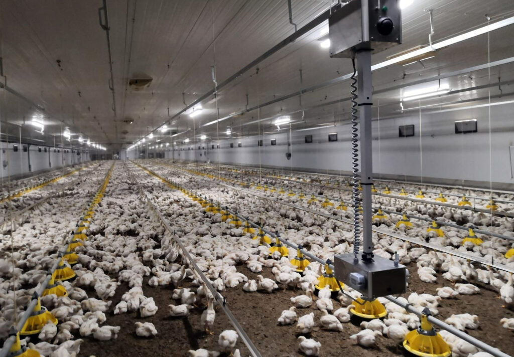 Faromatics And Its Poultry Monitoring Robot ‘chickenboy Acquired By Agco Farm Automation Today 0031